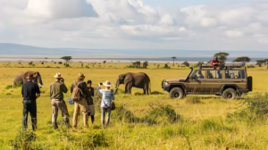 group tourists safari africa watching elephant wild from their safari vehicle 14117 353479